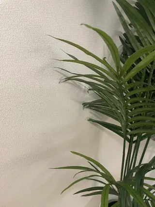 grates所属・カラーモデル募集中／ aikoのヘアスタイル