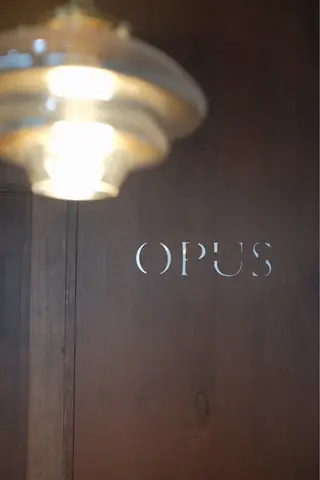 ミディアム カラー パーマ ヘアアレンジ Opus🐕kato Mizuki🐕のヘアスタイル