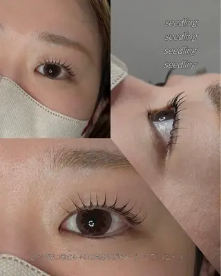 マツエク・マツパ シードリン府内店 米光の眉毛・アイブロウイメージ