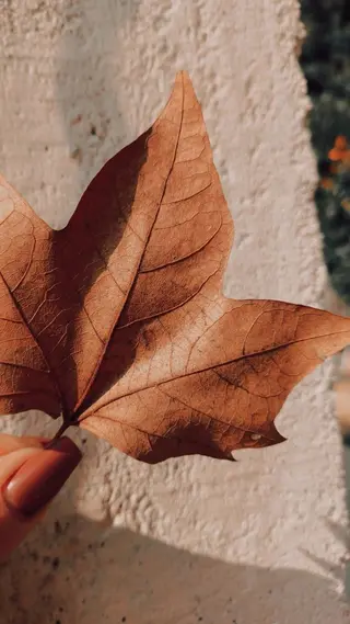高岡⌇ Ayaka🌻のエステ・リラクイメージ
