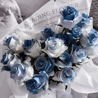 Bianca 銀座 Hinanoのネイルデザイン