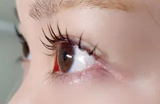 マツエク・マツパ Beauty Salon lau　大山店所属・Beauty Salon lauのマツエク・マツパデザイン