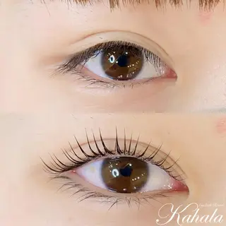 マツエク・マツパ NISAKA 🦸🏻‍♀️のマツエク・マツパデザイン