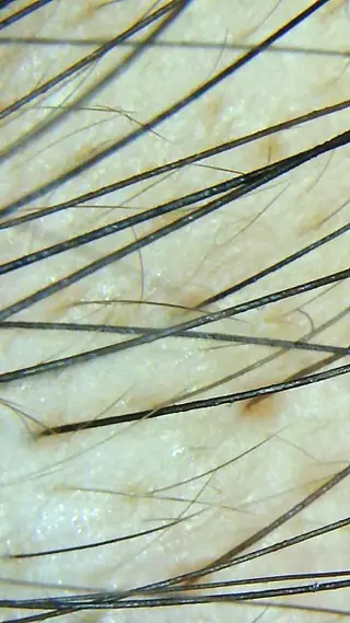 セントラル鍼灸院 Re:laxyのエステ・リラクイメージ