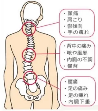 メンズ えびす整骨院所属・えびす SAKAのエステ・リラクイメージ