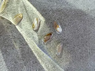 ネイル Demi 武蔵浦和店のネイルデザイン