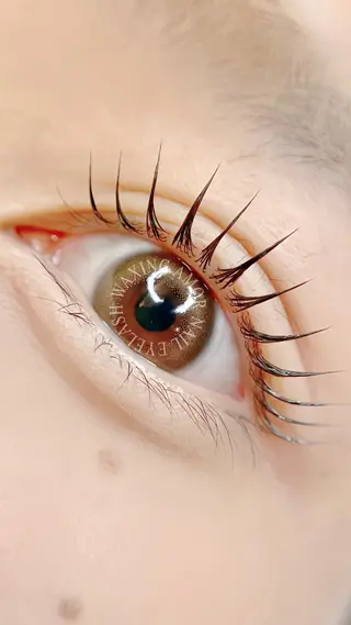 マツエク・マツパ Amor所属・AMOR EYELASHのマツエク・マツパデザイン