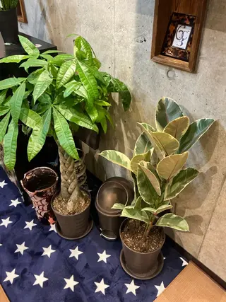 東京リンパ ドレナージュ専門店のエステ・リラクイメージ