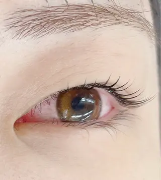 マツエク・マツパ ate eyelash 和泉府中店【まつげパーマ/ラッシ ユリフト/LED/東感バインド/眉毛】所属・もり まゆみのマツエク・マツパデザイン