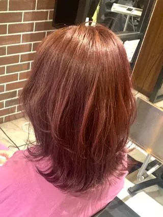 ミディアム ブリーチなしダブル/ レイヤーカット 小棹のヘアスタイル