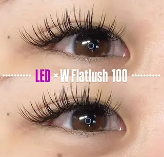 マツエク・マツパ LEDエクステ専門店 Fedis 京橋のマツエク・マツパデザイン