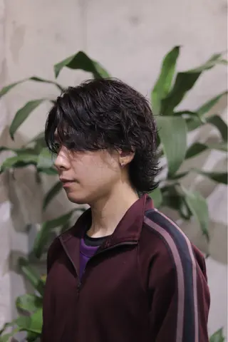 ミディアム パーマ メンズ 山口 陽平のヘアスタイル