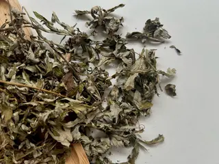 よもぎ蒸し/上井草 アロマ/ドライヘッドのエステ・リラクイメージ