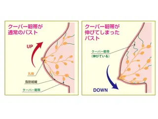 バストアップサロン Feerie：フェリのエステ・リラクイメージ