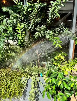 ihori所属・中村 芽衣那のヘアスタイル