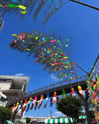 【鍼灸サロン　にった】所属・はりきゅう整体 新田鍼灸院のエステ・リラクイメージ