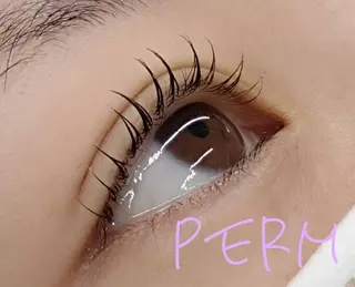 マツエク・マツパ 🎀memelu 御影店🎀のマツエク・マツパデザイン