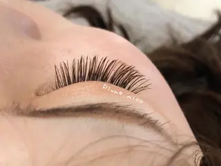 マツエク・マツパ Plume micoのマツエク・マツパデザイン