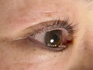 マツエク・マツパ Plume micoのマツエク・マツパデザイン