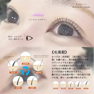 マツエク・マツパ Annabeate 八王子店所属・eyelist harukaのマツエク・マツパデザイン