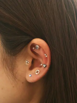 B.napus/mimi2bo所属・B.napus Nanohaのその他イメージ