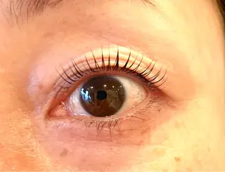 マツエク・マツパ Eyelash salon Lily所属・杉浦 ともこのマツエク・マツパデザイン