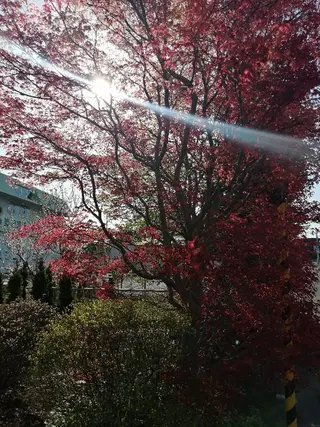 D/i所属・D/i |Y/no. 〈夜スパ17時〜〉のヘアスタイル