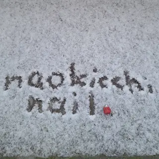 HAYASHI  Nのネイルデザイン