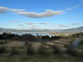 ショート カラー パーマ メンズ 🫧sara荒井店 樹🫧のヘアスタイル