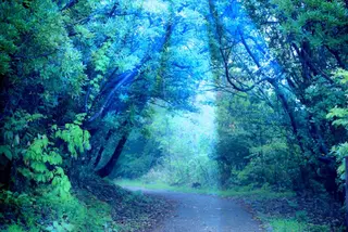 yunastyle☆ トータルボディケアのエステ・リラクイメージ