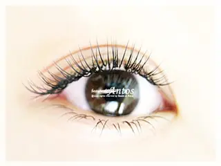 マツエク・マツパ まつげ&眉の専門店 アントススタッフの眉毛・アイブロウイメージ