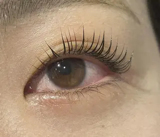 マツエク・マツパ Coquille 上野 御徒町店のマツエク・マツパデザイン