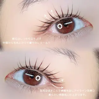 マツエク・マツパ mignon /まつげパーマ/眉毛のエステ・リラクイメージ