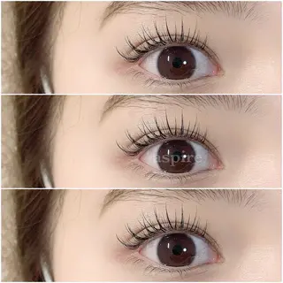 マツエク・マツパ 韓国系得意🦋 Aspire.のマツエク・マツパデザイン