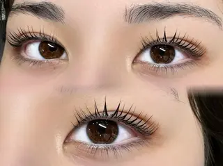 マツエク・マツパ POPPYシルフィーヌ関内店所属・モデル募集 POPPY関内店の眉毛・アイブロウイメージ