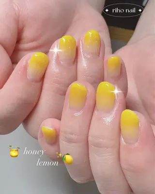 ネイル 艶/マグネット/網紅 /韓国/岩下りほのネイルデザイン