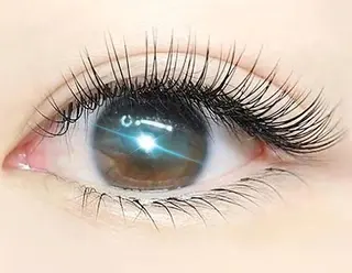 マツエク・マツパ Livnus リブナスのマツエク・マツパデザイン