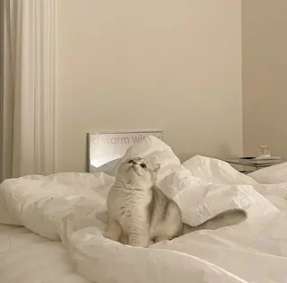 miyu 🍦のマツエク・マツパデザイン