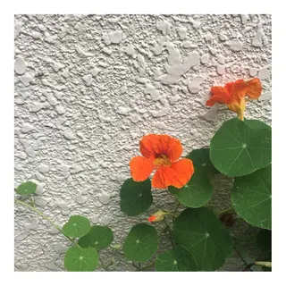 かみじょう ゆうこのヘアスタイル