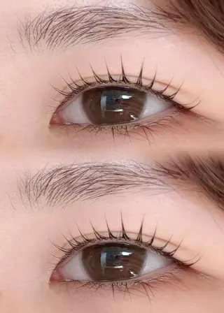 マツエク・マツパ ロコラッシュ🦖⚡ 韓国風まつパ/恵比寿のマツエク・マツパデザイン