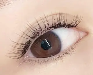 マツエク・マツパ eyelash  salon fまつエク・まつげパーマ【フランク】所属・eyelash f　香里園のマツエク・マツパデザイン
