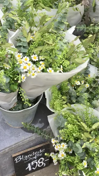 マツエク・マツパ ブリーチ/縮毛/ レイヤー🥝ルナのヘアスタイル