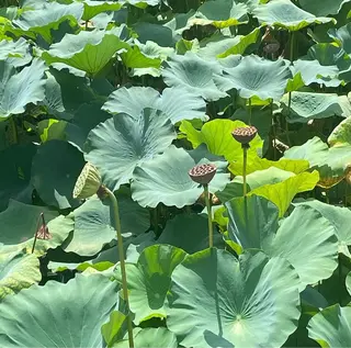 hair salon　丹tan所属・Rena✴︎トレンド ×スタンダードMIXのヘアスタイル