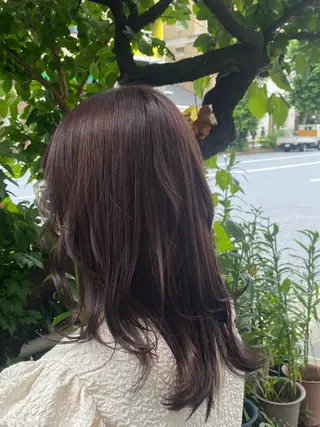 ミディアム カラー ヘアアレンジ 🌱エシカル🌱 松原大将のヘアスタイル