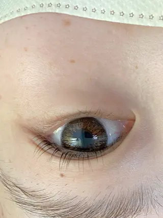 マツエク・マツパ お顔そりサロンSOL所属・お顔そりとまつ毛 SOLのマツエク・マツパデザイン