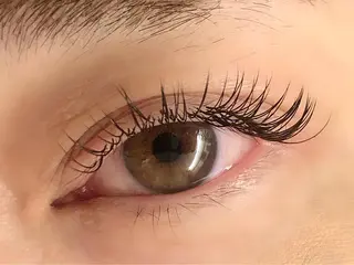 マツエク・マツパ CAMELLIA カメリアのマツエク・マツパデザイン