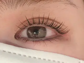 マツエク・マツパ passion茨木 【風張】のマツエク・マツパデザイン