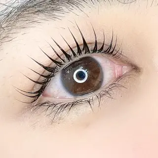 マツエク・マツパ MINTELASH 👼🏻Mioのマツエク・マツパデザイン