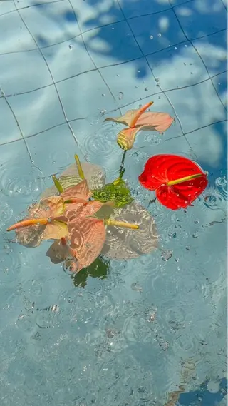 マツエク・マツパ 《YURI》似合わせ まつ毛/アイブロウのマツエク・マツパデザイン