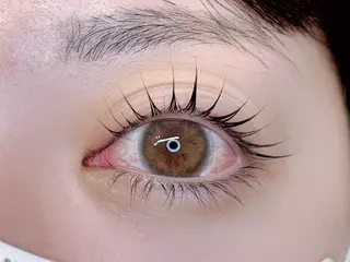 マツエク・マツパ 【lapte】 中目黒のマツエク・マツパデザイン